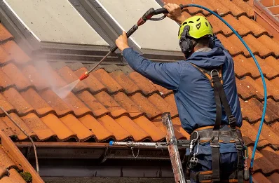 Démoussage et hydrofuge de toiture à Villemoirieu